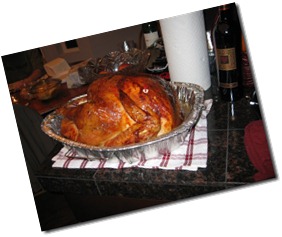 Thanksgiving 2009 036